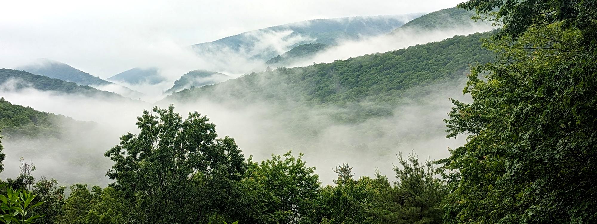 Morning fog lying in layers between wooded mountain ridges, framed by trees